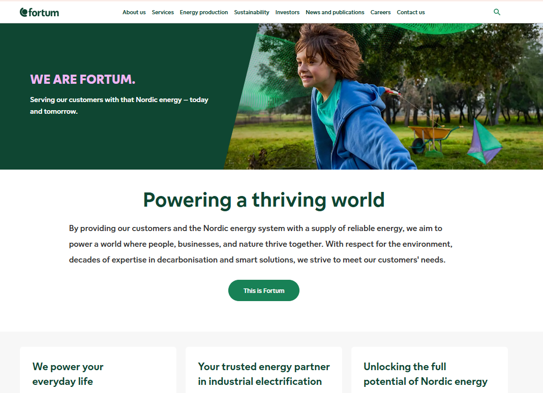 Fortum project image